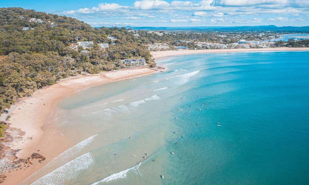 Sunshine Coast Hinterland and Noosa Tour Gallery Banner 1