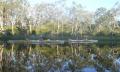 1 Day Noosa Everglades Guided Kayak Tour Thumbnail 3