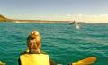 Noosa Dolphin View Kayak Tour Thumbnail 6