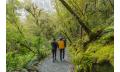 Milford Sound Coach Day Tour with 2hr Cruise from Queenstown Thumbnail 2