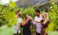 Half Day Twilight Wine and Craft Beer Tour from Queenstown Thumbnail 3