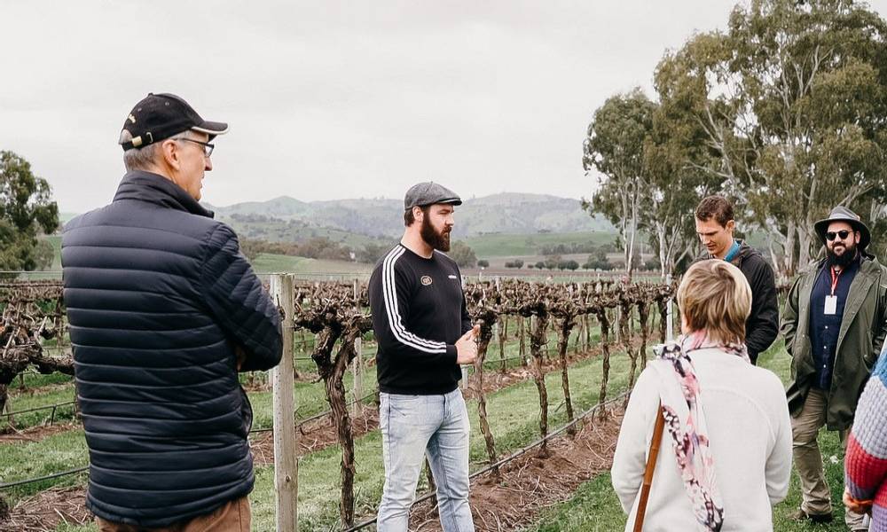 Behind the Scenes Winery Experience Kies Family Wines Gallery Banner 1