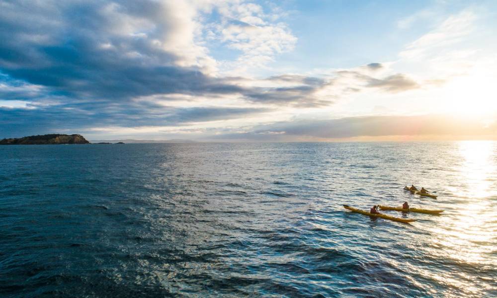 Batemans Bay Half Day Sea Kayak Tour Gallery Banner 1