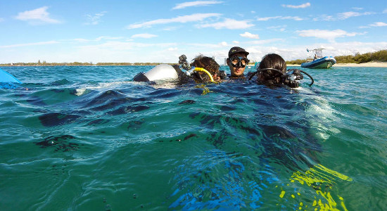 Gold Coast Introductory Scuba Dive Tour Gallery Banner 1