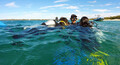 Gold Coast Introductory Scuba Dive Tour Thumbnail 1
