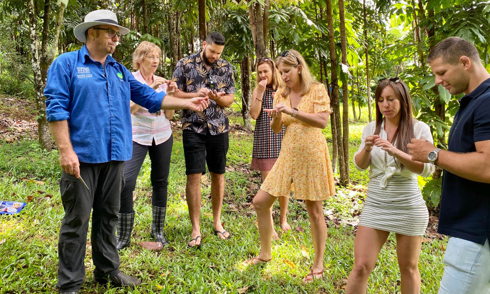 Rainforest heart fruit orchard