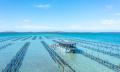 3 Hour Coffin Bay Oyster Farm and Bay Tour Thumbnail 6