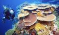 Great Barrier Reef Cruise to Reef Magic Cruises Pontoon Thumbnail 3