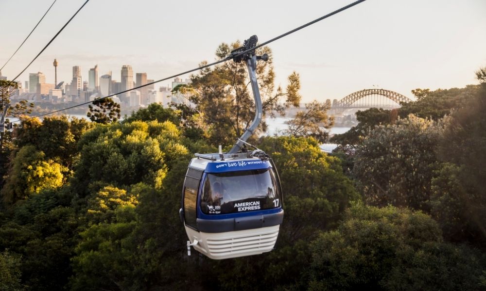 taronga-zoo-entry-and-ferry-transfer-clubconnect