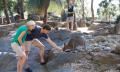 Taronga Zoo Entry and Return Ferry Combo Thumbnail 5