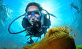 Great Barrier Reef Dive and Snorkel Cruise to 2 Reef Locations Thumbnail 3