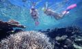 Great Barrier Reef Dive and Snorkel Cruise to 2 Reef Locations Thumbnail 1