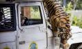 Taronga Zoo Sydney General Admission Thumbnail 1