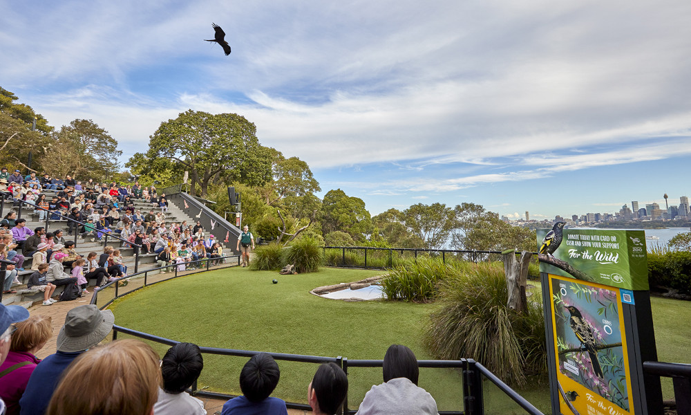 taronga2
