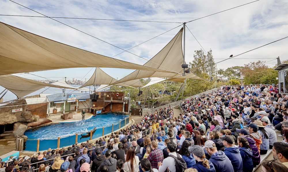 taronga4