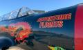 35 Minute Warbird Aerobatic Flight Thumbnail 3
