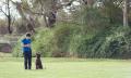 Melbourne Dog Training Thumbnail 5