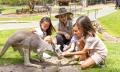 Currumbin Wildlife Sanctuary Tickets Thumbnail 3