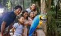 Currumbin Wildlife Sanctuary Tickets Thumbnail 4