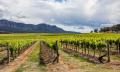 Signature Hunter Valley Wine-Tasting Departing Sydney Thumbnail 2