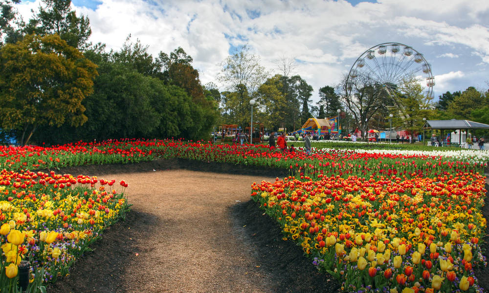 Canberra Attractions & Things To Do | ClubConnect