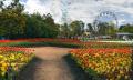 Canberra Floriade Day Trip from Sydney Thumbnail 1