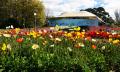 Canberra Floriade Day Trip from Sydney Thumbnail 2