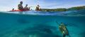 Byron Bay Sea Kayak with Dolphins and Turtles Thumbnail 2