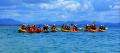 Byron Bay Sea Kayak with Dolphins and Turtles Thumbnail 4
