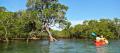 Byron Bay Sea Kayak with Dolphins and Turtles Thumbnail 5