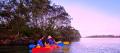 Byron Bay Sea Kayak with Dolphins and Turtles Thumbnail 6