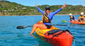 Byron Bay Sea Kayak with Dolphins and Turtles Thumbnail 1