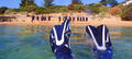Mornington Peninsula Weedy Sea Dragons Snorkel Tour Thumbnail 2