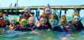 Mornington Peninsula Weedy Sea Dragons Snorkel Tour Thumbnail 1