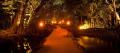 Flames of the Forest Aboriginal Cultural Dining Experience Thumbnail 4