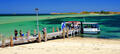 Penguin Island Cruise from Perth Thumbnail 5