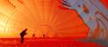 Port Douglas Classic Hot Air Balloon Flight Thumbnail 4