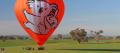 Port Douglas Classic Hot Air Balloon Flight Thumbnail 2