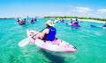 Gold Coast Dolphin and Stradbroke Island Kayaking Tour Thumbnail 4