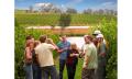 Daily Yarra Valley Wine Experience Thumbnail 1