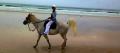 Horse Riding Byron Bay Beach Ride Thumbnail 2