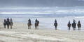Horse Riding Byron Bay Beach Ride Thumbnail 1