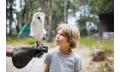 Bird of Prey Encounters and Forest Walk Thumbnail 4