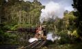 RACV Exclusive Murder on the Puffing Billy Express Thumbnail 6