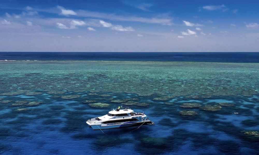 Silverswift Great Barrier Reef 
