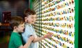 LEGOLAND ® Discovery Centre General Admission Thumbnail 2