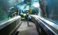 SEA LIFE Sunshine Coast Entry Thumbnail 4