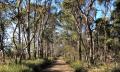 Bruny Island Adventure Thumbnail 5