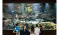 Cairns Aquarium by Sunrise Thumbnail 2