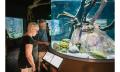 Cairns Aquarium by Sunrise Thumbnail 3